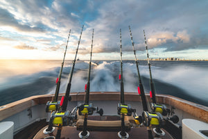 bcf townsville fishing reels Townsville Land-Based Fishing Tips and Techniques